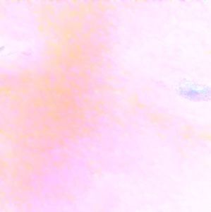 Meet your Posher, Devin